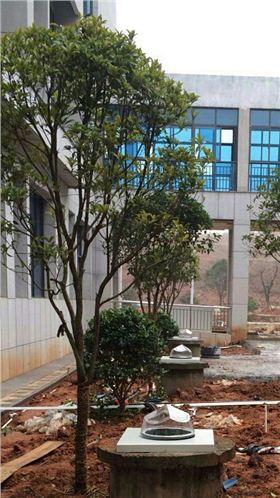 光導(dǎo)照明施工 光導(dǎo)照明施工