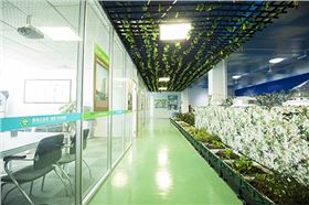 側(cè)墻水平傳輸光線照明效果 側(cè)墻水平傳輸光線照明效果